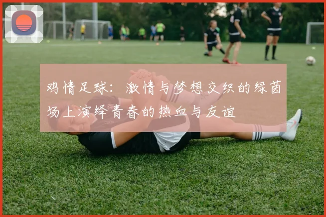 鸡情足球：激情与梦想交织的绿茵场上演绎青春的热血与友谊