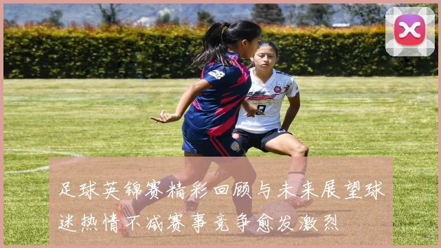足球英锦赛精彩回顾与未来展望球迷热情不减赛事竞争愈发激烈