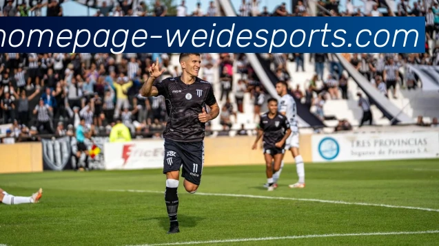 韦德平台平台生态图